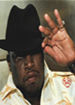 Vegas Don